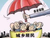 农村人买什么养老保险最划算,农村人选购养老保险的性价比指南